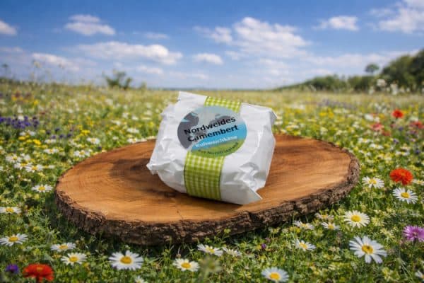 Nordweide Camembert
