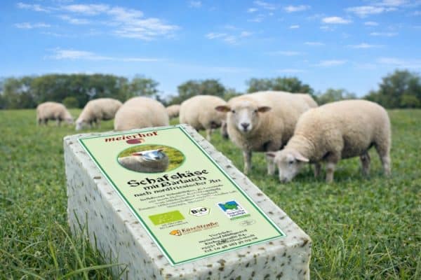 Schafskäse mit Bärlauch