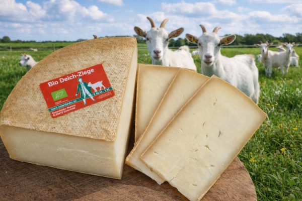 Bio Deich Ziege