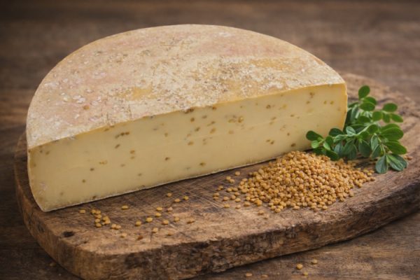 Deichgraf mit Bockshornklee